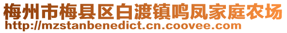 梅州市梅縣區(qū)白渡鎮(zhèn)鳴鳳家庭農(nóng)場