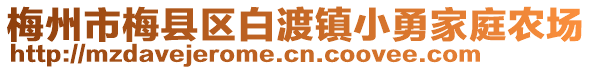 梅州市梅縣區(qū)白渡鎮(zhèn)小勇家庭農(nóng)場