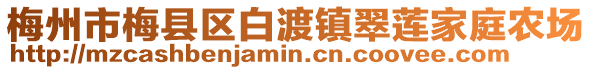 梅州市梅县区白渡镇翠莲家庭农场