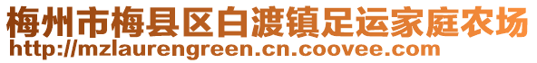 梅州市梅縣區(qū)白渡鎮(zhèn)足運家庭農(nóng)場