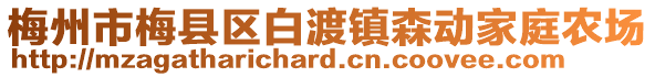 梅州市梅縣區(qū)白渡鎮(zhèn)森動(dòng)家庭農(nóng)場(chǎng)