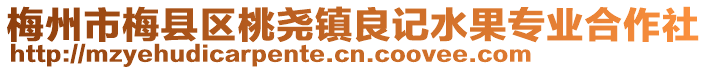 梅州市梅縣區桃堯鎮良記水果專業合作社
