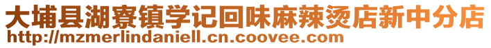 大埔縣湖寮鎮學記回味麻辣燙店新中分店