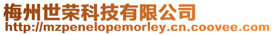 梅州世榮科技有限公司