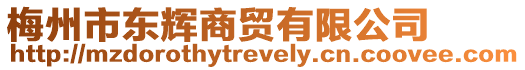 梅州市東輝商貿(mào)有限公司