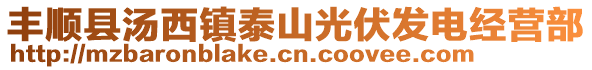 豐順縣湯西鎮(zhèn)泰山光伏發(fā)電經(jīng)營部