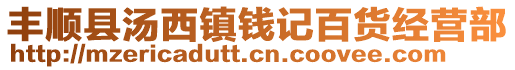 豐順縣湯西鎮(zhèn)錢記百貨經(jīng)營部