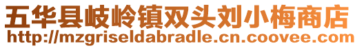 五華縣岐嶺鎮(zhèn)雙頭劉小梅商店