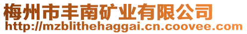梅州市豐南礦業(yè)有限公司