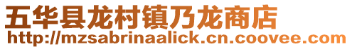 五華縣龍村鎮乃龍商店