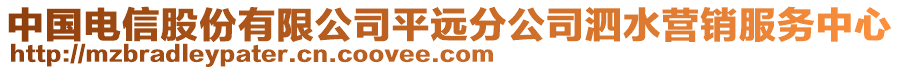 中國電信股份有限公司平遠分公司泗水營銷服務(wù)中心