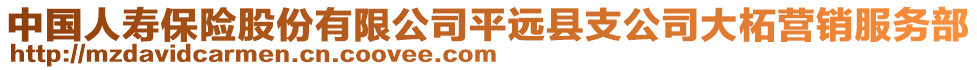 中國人壽保險股份有限公司平遠縣支公司大柘營銷服務部