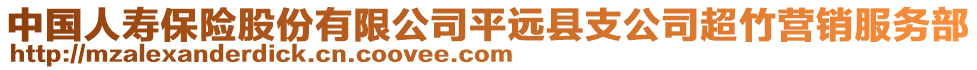 中国人寿保险股份有限公司平远县支公司超竹营销服务部