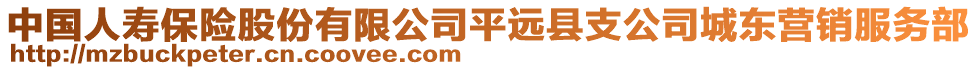 中國人壽保險股份有限公司平遠縣支公司城東營銷服務(wù)部