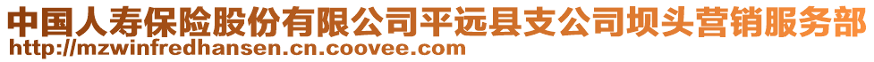 中国人寿保险股份有限公司平远县支公司坝头营销服务部