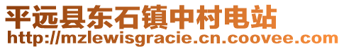 平遠(yuǎn)縣東石鎮(zhèn)中村電站