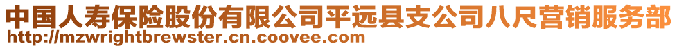 中国人寿保险股份有限公司平远县支公司八尺营销服务部