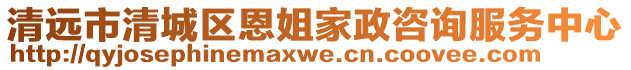 清遠市清城區(qū)恩姐家政咨詢服務中心