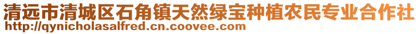 清遠(yuǎn)市清城區(qū)石角鎮(zhèn)天然綠寶種植農(nóng)民專業(yè)合作社