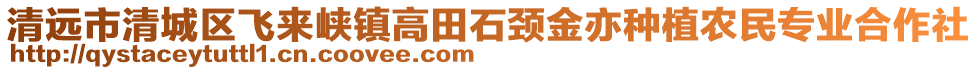 清遠(yuǎn)市清城區(qū)飛來(lái)峽鎮(zhèn)高田石頸金亦種植農(nóng)民專(zhuān)業(yè)合作社