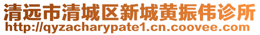 清遠(yuǎn)市清城區(qū)新城黃振偉診所