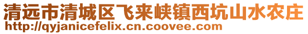清遠(yuǎn)市清城區(qū)飛來峽鎮(zhèn)西坑山水農(nóng)莊