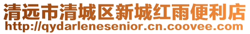 清遠市清城區新城紅雨便利店
