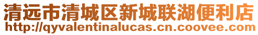 清遠市清城區(qū)新城聯(lián)湖便利店