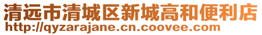 清遠(yuǎn)市清城區(qū)新城高和便利店