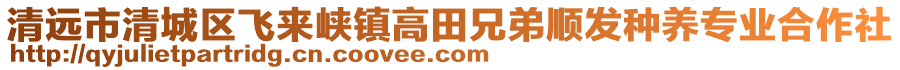 清遠(yuǎn)市清城區(qū)飛來峽鎮(zhèn)高田兄弟順發(fā)種養(yǎng)專業(yè)合作社