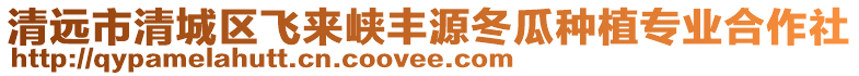 清遠市清城區飛來峽豐源冬瓜種植專業合作社