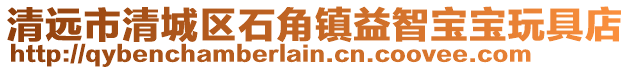 清遠市清城區石角鎮益智寶寶玩具店