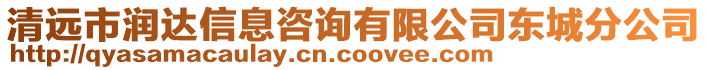 清遠(yuǎn)市潤(rùn)達(dá)信息咨詢有限公司東城分公司