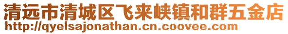 清遠(yuǎn)市清城區(qū)飛來峽鎮(zhèn)和群五金店