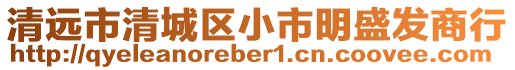 清遠(yuǎn)市清城區(qū)小市明盛發(fā)商行