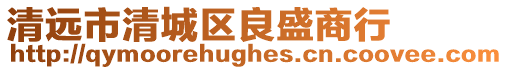 清遠(yuǎn)市清城區(qū)良盛商行