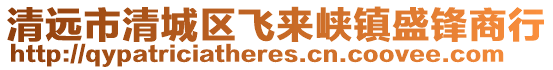 清遠市清城區飛來峽鎮盛鋒商行