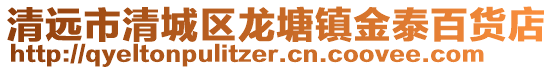 清遠市清城區龍塘鎮金泰百貨店