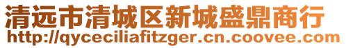 清遠市清城區新城盛鼎商行