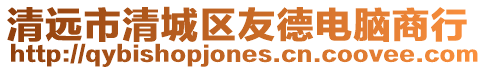 清遠市清城區友德電腦商行