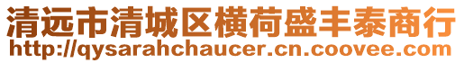 清遠市清城區橫荷盛豐泰商行