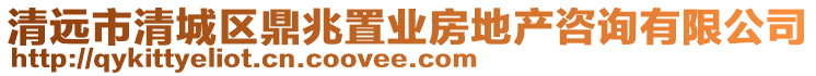 清遠市清城區鼎兆置業房地產咨詢有限公司