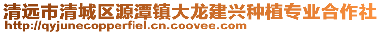 清遠(yuǎn)市清城區(qū)源潭鎮(zhèn)大龍建興種植專業(yè)合作社