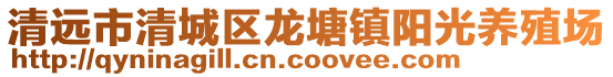 清遠市清城區龍塘鎮陽光養殖場