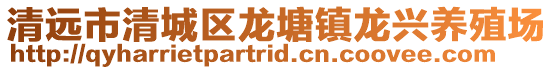 清遠(yuǎn)市清城區(qū)龍?zhí)伶?zhèn)龍興養(yǎng)殖場(chǎng)