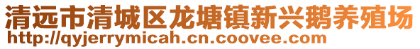 清遠市清城區龍塘鎮新興鵝養殖場