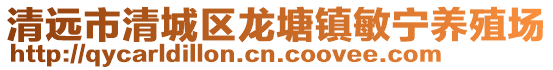 清遠市清城區龍塘鎮敏寧養殖場