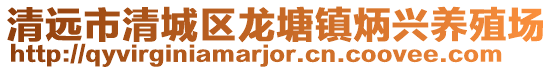 清遠(yuǎn)市清城區(qū)龍?zhí)伶?zhèn)炳興養(yǎng)殖場