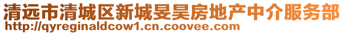 清遠市清城區新城旻昊房地產中介服務部