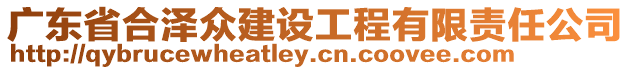 廣東省合澤眾建設(shè)工程有限責(zé)任公司